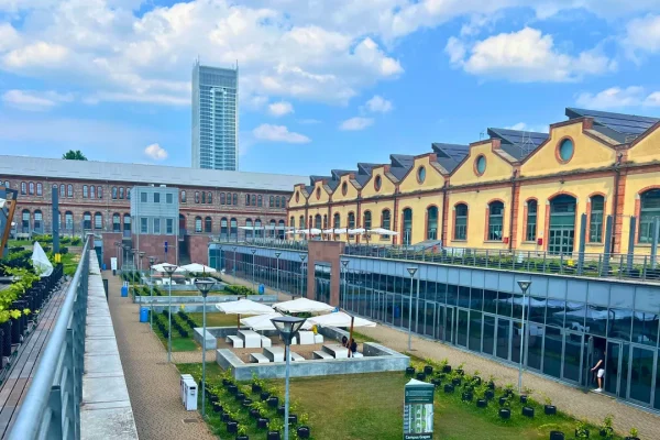 Il cambiamento climatico cambia la geografia dei vigneti: cosa sta succedendo