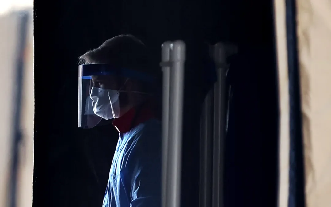 Cos’è One Health, il programma globale che prova a evitare la prossima pandemia