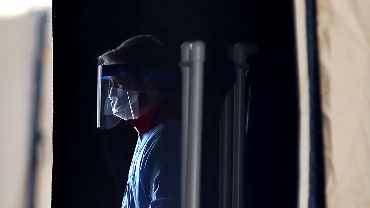 Cos’è One Health, il programma globale che prova a evitare la prossima pandemia