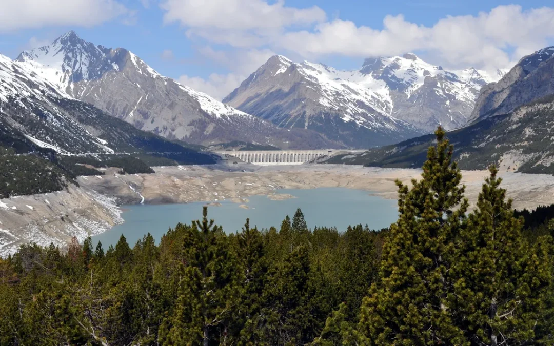 Nel Parco dello Stelvio sono state scoperte migliaia di impronte di dinosauri risalenti a 210 milioni di anni fa