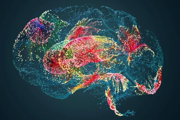 Srini Narayanan, direttore di ricerca di DeepMind: “Le idee sono fatte di carne. E il nostro cervello non è un computer universale”