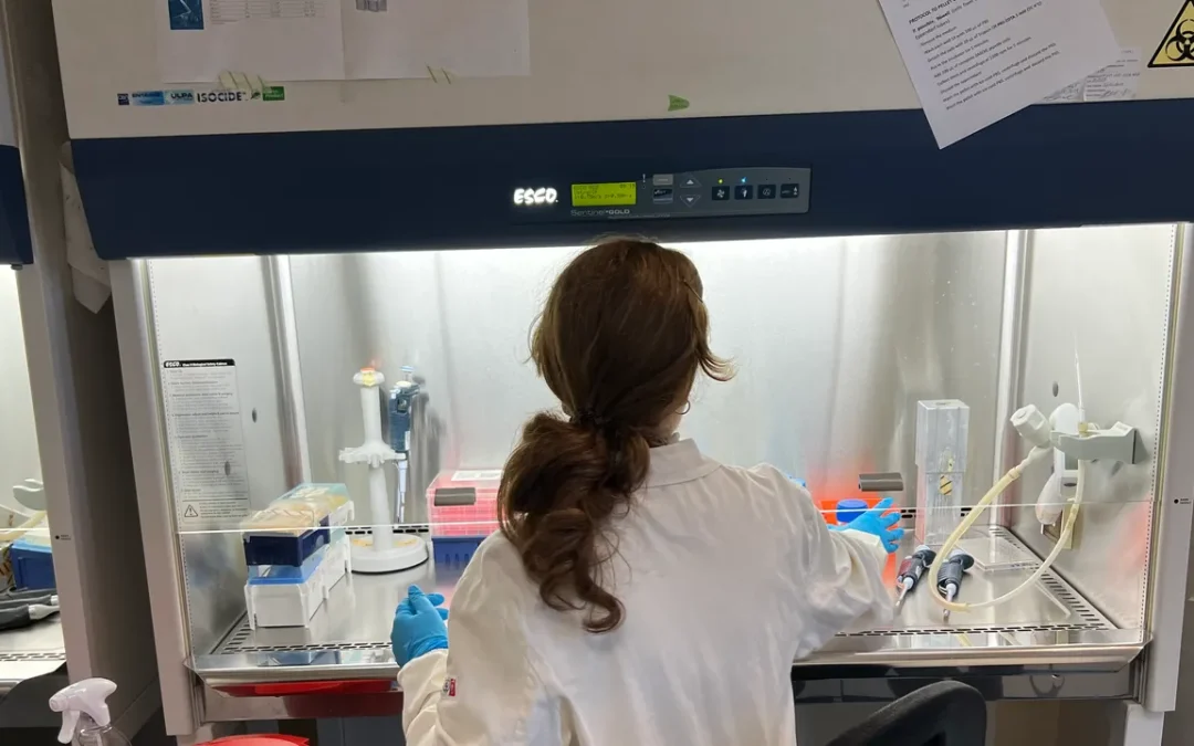 Gemello biologico, abbiamo visitato i laboratori di Napoli dove si studiano le tecnologie per arrivare finalmente alla medicina personalizzata