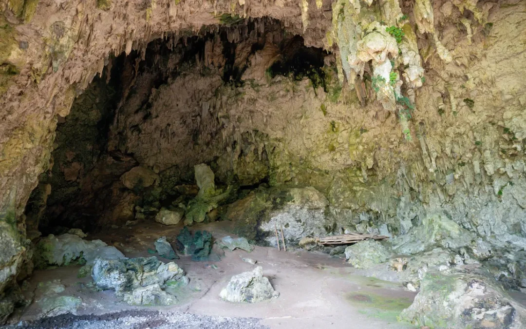 Gli hobbit indonesiani, che rimangono ancora un grande mistero, si sarebbero estinti per colpa della siccità e dell’Homo sapiens