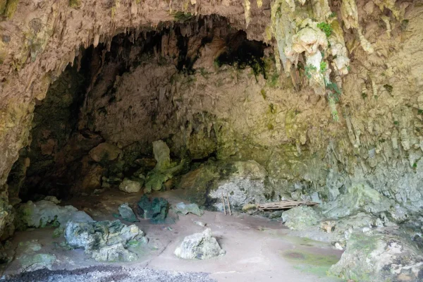 Gli hobbit indonesiani, che rimangono ancora un grande mistero, si sarebbero estinti per colpa della siccità e dell’Homo sapiens