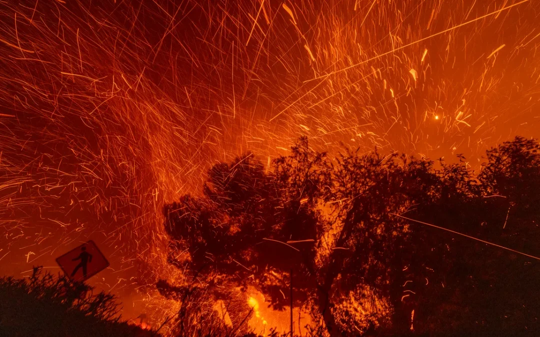 21 immagini iconiche del 2025 che raccontano un anno di trasformazioni globali