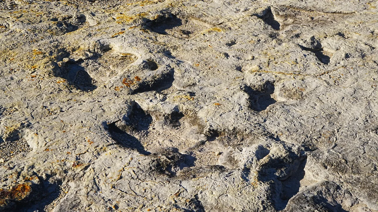 Un antico lago in Bolivia è diventato più grande sito di impronte di dinosauro al mondo, ne ha oltre 16mila