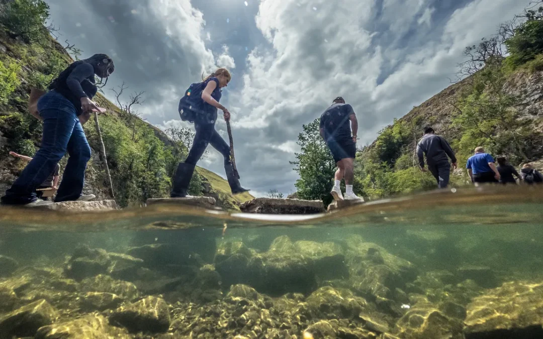 Nature based solutions, tutti vogliono progetti “ispirati alla natura”, ma pochi sono autentici