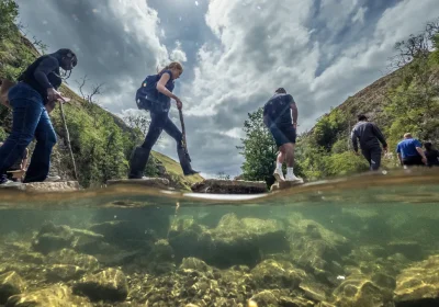 Nature based solutions, tutti vogliono progetti “ispirati alla natura”, ma pochi sono autentici