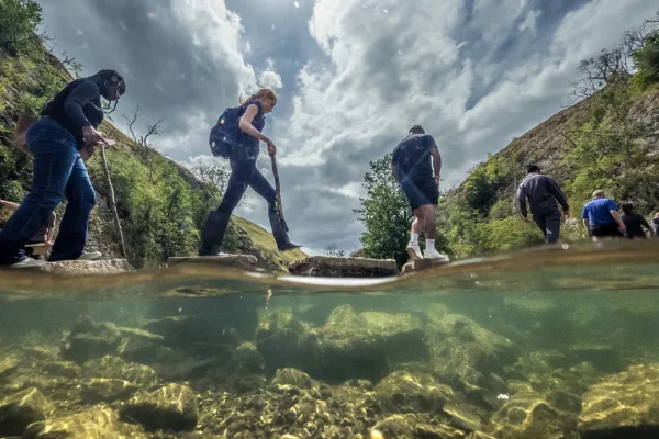 Nature based solutions, tutti vogliono progetti “ispirati alla natura”, ma pochi sono autentici