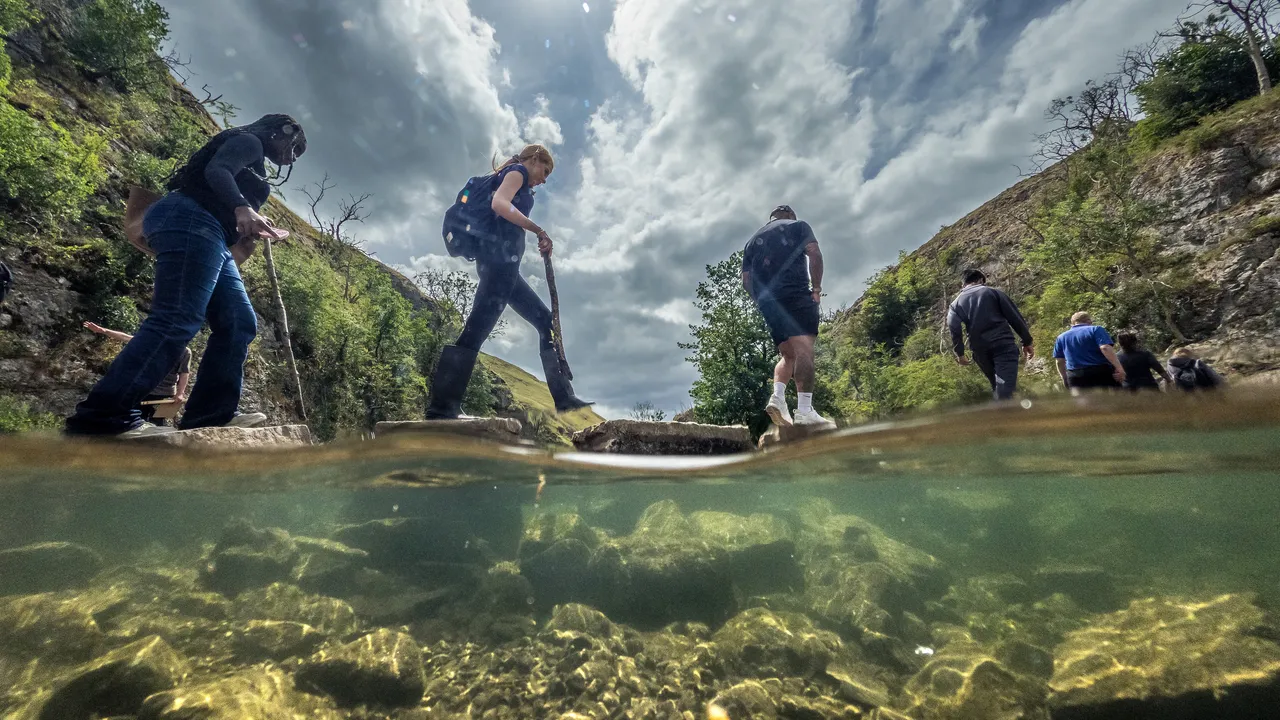 Nature based solutions, tutti vogliono progetti “ispirati alla natura”, ma pochi sono autentici