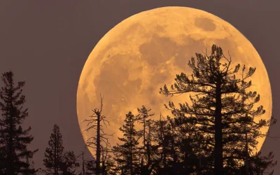 Arriva la Superluna fredda, ecco quando e come osservare l’ultima grande e magnifica Luna piena dell’anno