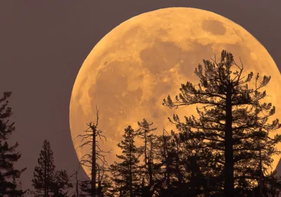 Arriva la Superluna fredda, ecco quando e come osservare l’ultima grande e magnifica Luna piena dell’anno