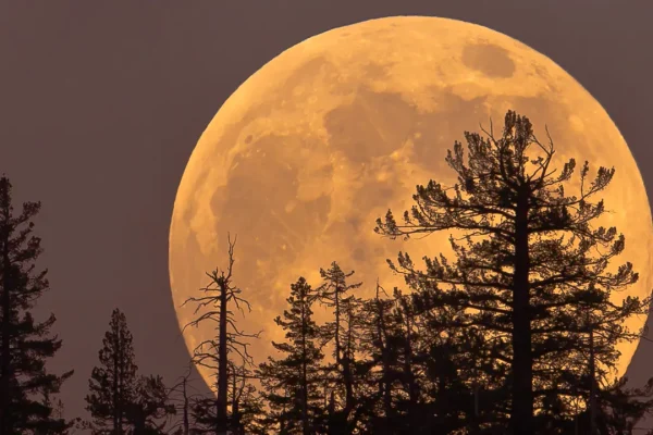 Arriva la Superluna fredda, ecco quando e come osservare l’ultima grande e magnifica Luna piena dell’anno