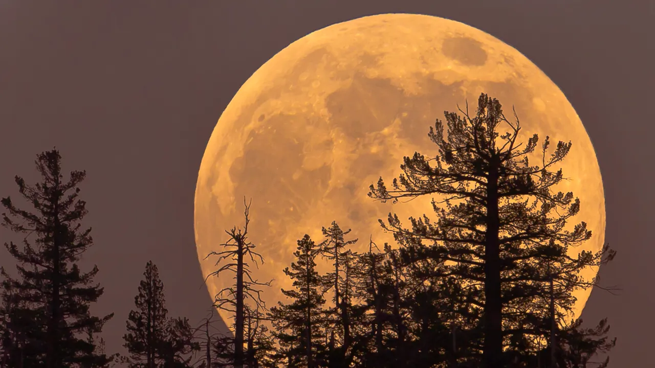 Arriva la Superluna fredda, ecco quando e come osservare l’ultima grande e magnifica Luna piena dell’anno