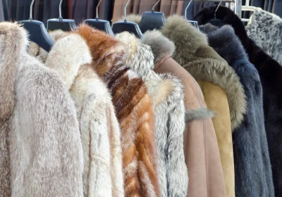 La Polonia, seconda produzione al mondo, ha vietato gli allevamenti di animali da pelliccia