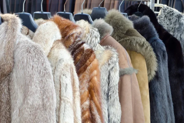 La Polonia, seconda produzione al mondo, ha vietato gli allevamenti di animali da pelliccia
