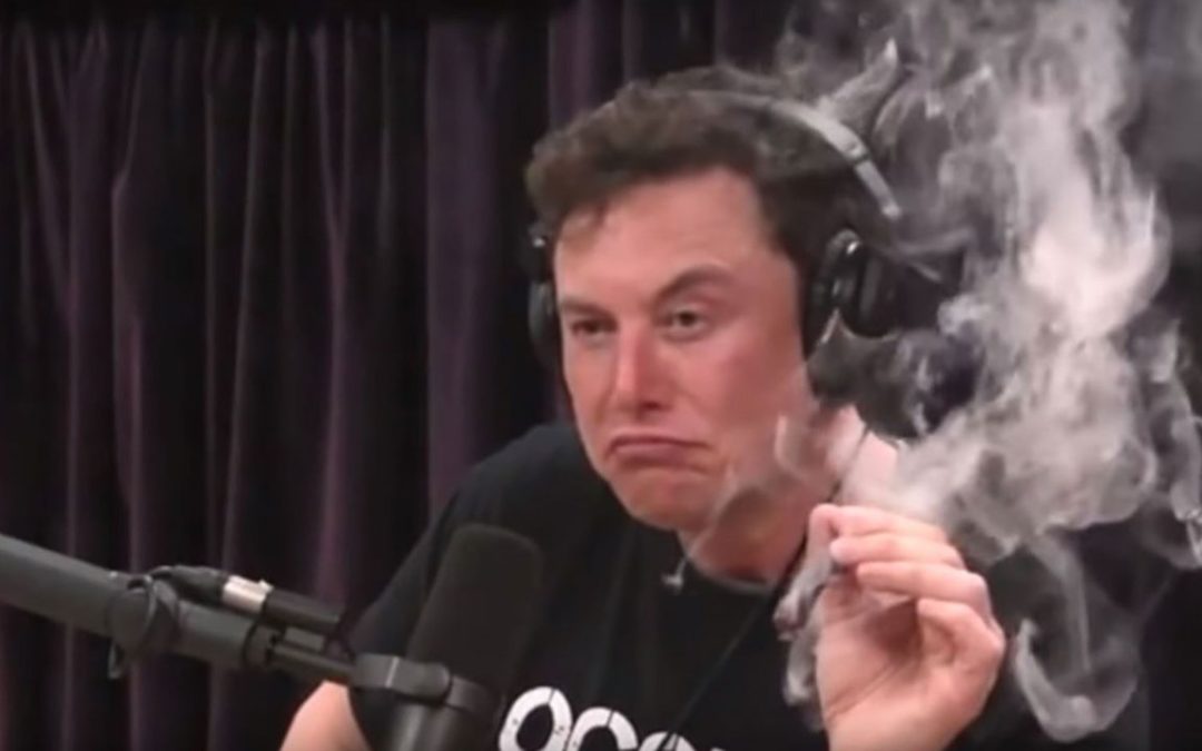 Dov'è finita la parola "sostenibile" dalla missione di Tesla? Musk ha nuove idee