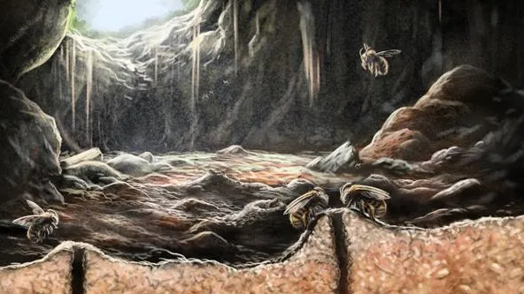La macabra storia delle antiche api scavatrici, che migliaia di anni fa costruivano i loro nidi negli scheletri di altri animali
