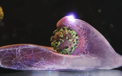 Svelato il meccanismo segreto con cui il virus dell’influenza convince le cellule a farsi trasportare per dare al via all’infezione