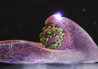 Svelato il meccanismo segreto con cui il virus dell’influenza convince le cellule a farsi trasportare per dare al via all’infezione