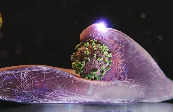 Svelato il meccanismo segreto con cui il virus dell’influenza convince le cellule a farsi trasportare per dare al via all’infezione