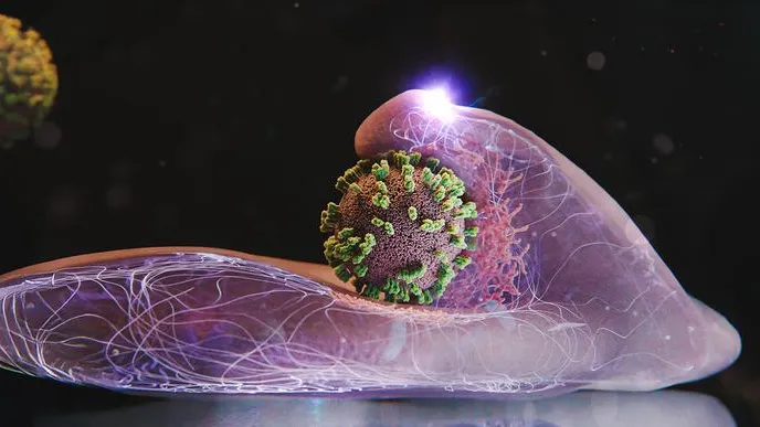 Svelato il meccanismo segreto con cui il virus dell’influenza convince le cellule a farsi trasportare per dare al via all’infezione