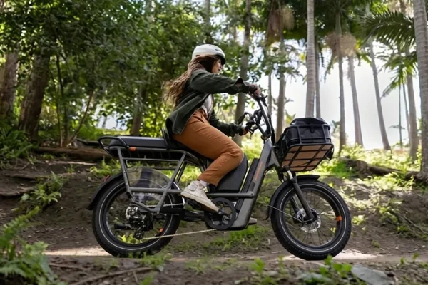 Disastro Rad Power Bikes: incendio al magazzino delle e-bike in California