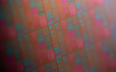 SSD come CPU: queste memorie sono in grado di svolgere anche operazioni di calcolo