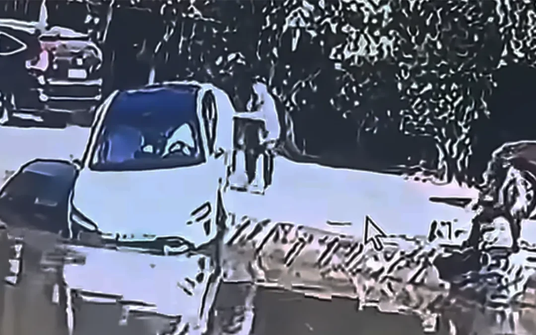 Una Xiaomi SU7 ha finito il suo parcheggio autonomo (quasi) in uno stagno