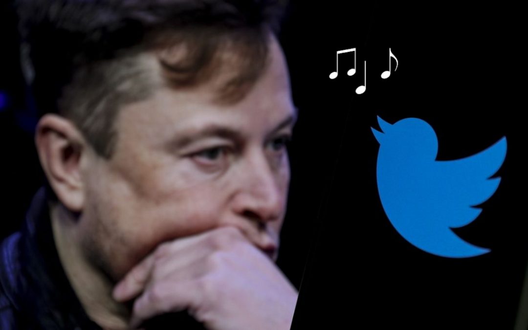 X Corp contro Operation Bluebird: è già battaglia legale sul marchio Twitter