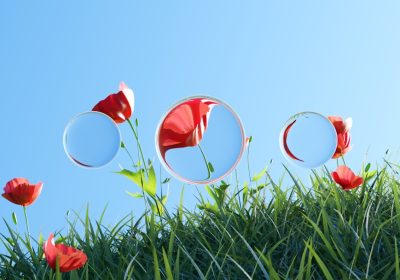 Attivare Liquid Glass su iPhone e Mac