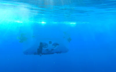 Oceano, le straordinarie immagini della vita a 9.800 metri di profondità