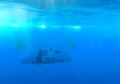 Oceano, le straordinarie immagini della vita a 9.800 metri di profondità