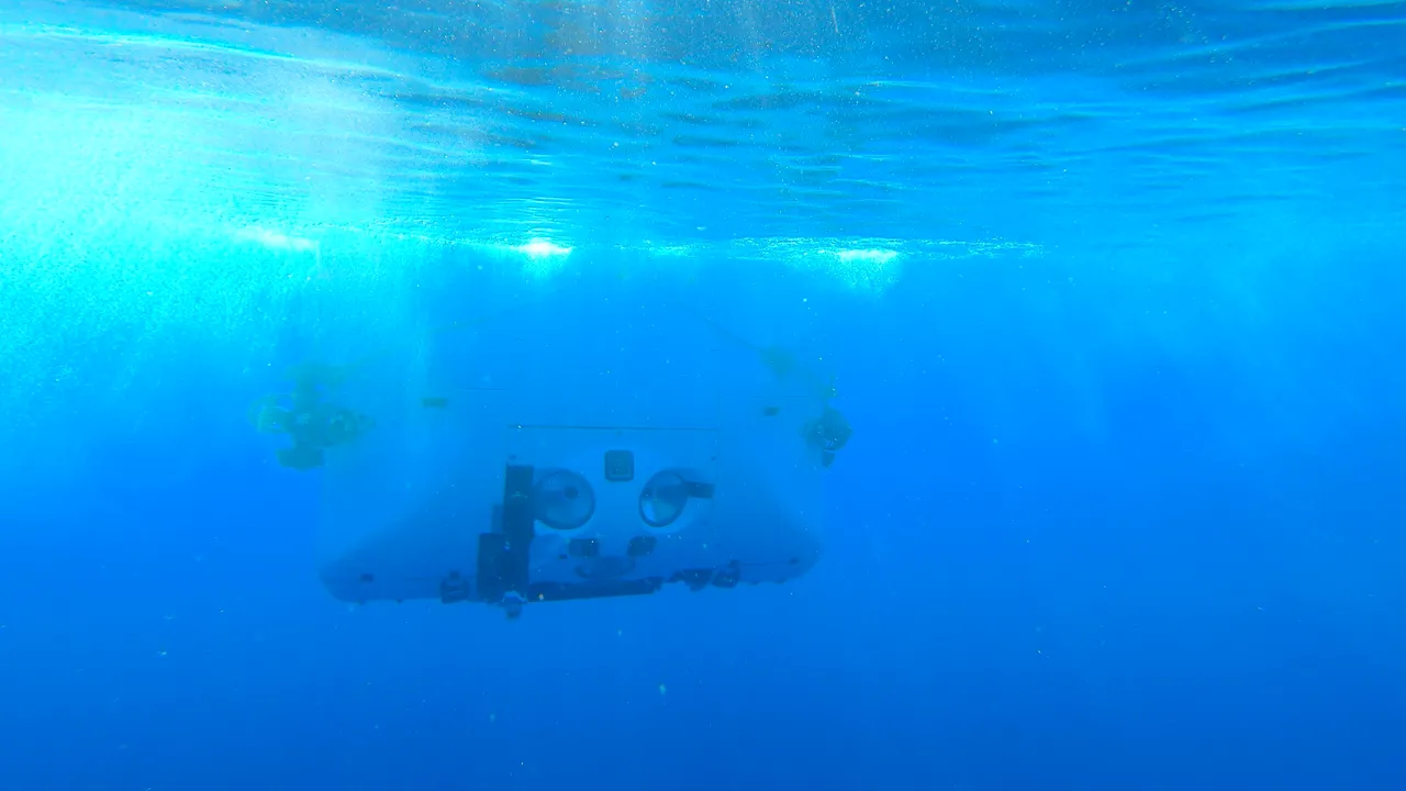 Oceano, le straordinarie immagini della vita a 9.800 metri di profondità