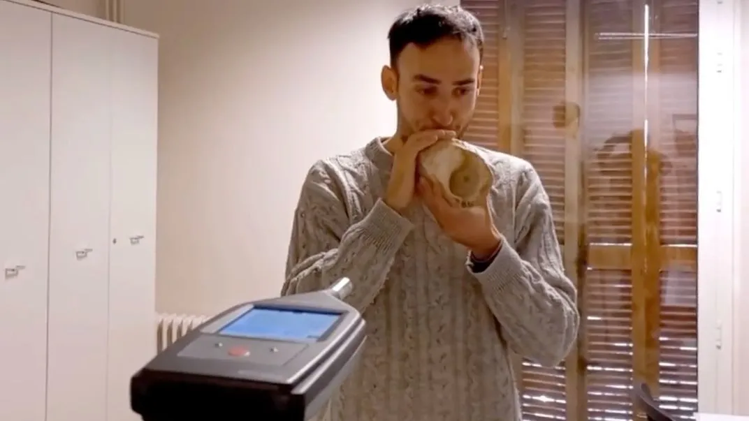 Queste conchiglie trovate in Spagna potrebbero essere tra i più antichi strumenti musicali conosciuti