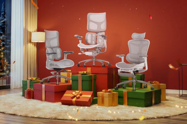 Sedia ergonomica Sihoo Doro C300 in super sconto