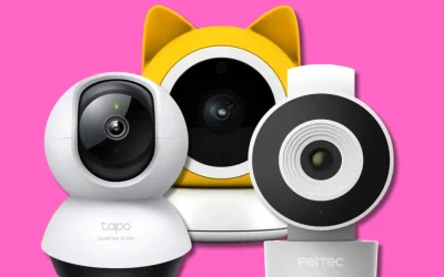 Le migliori telecamere per cani e gatti che riconoscono il tuo animale e ti avvisano se combina qualcosa