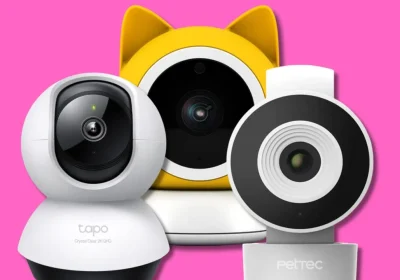 Le migliori telecamere per cani e gatti che riconoscono il tuo animale e ti avvisano se combina qualcosa