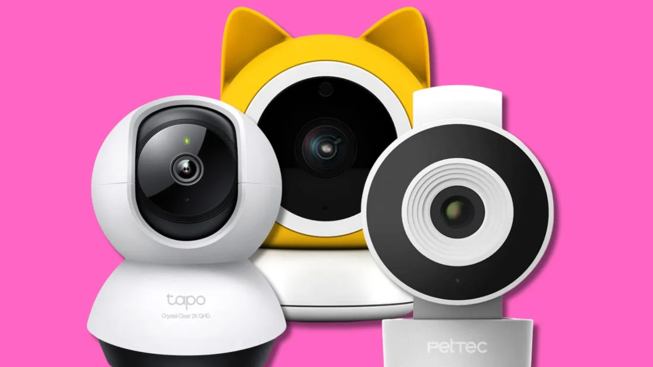 Le migliori telecamere per cani e gatti che riconoscono il tuo animale e ti avvisano se combina qualcosa