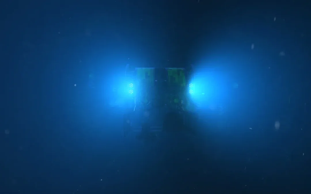 Una rarissima medusa fantasma gigante è stata avvistata nelle profondità di un canyon sottomarino