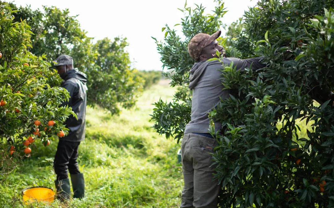 Sull’immigrazione, gli italiani sono più accoglienti di quanto possa sembrare