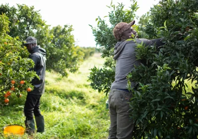 Sull’immigrazione, gli italiani sono più accoglienti di quanto possa sembrare