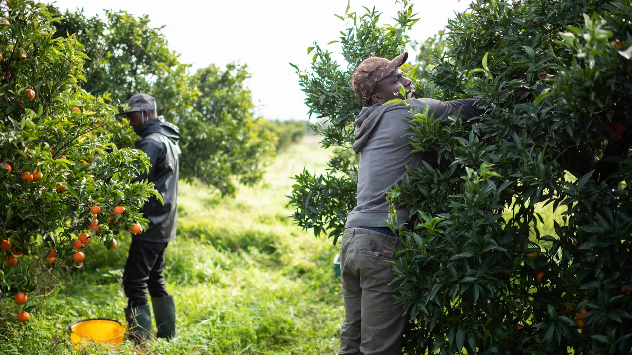 Sull’immigrazione, gli italiani sono più accoglienti di quanto possa sembrare