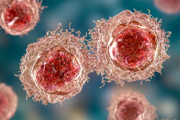 Alcuni scienziati spagnoli affermano di aver eliminato completamente il tumore al pancreas nei topi, ma serve cautela