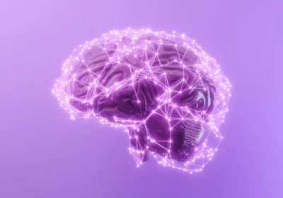 Come la teoria delle stringhe è stata usata per risolvere un mistero di lunga data sul cervello