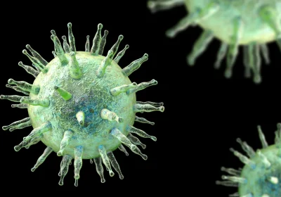È stato scoperto il meccanismo che collega la sclerosi multipla al virus della mononucleosi