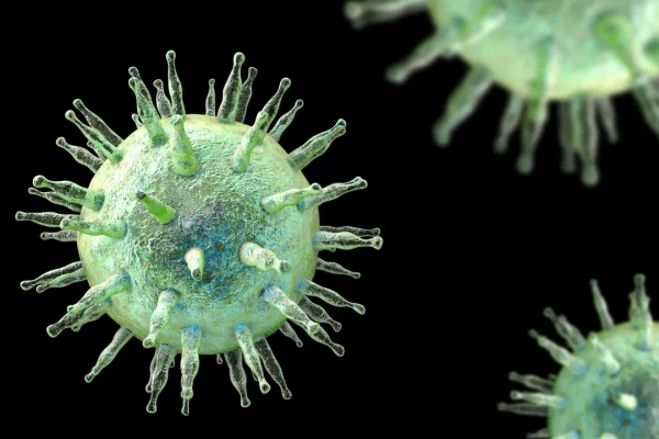 È stato scoperto il meccanismo che collega la sclerosi multipla al virus della mononucleosi