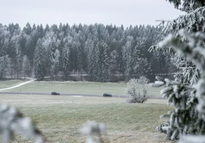 Cos’è la Grünes Band, la linea di confine tra Germania Est e Ovest che oggi è un monumento ambientale della storia europea