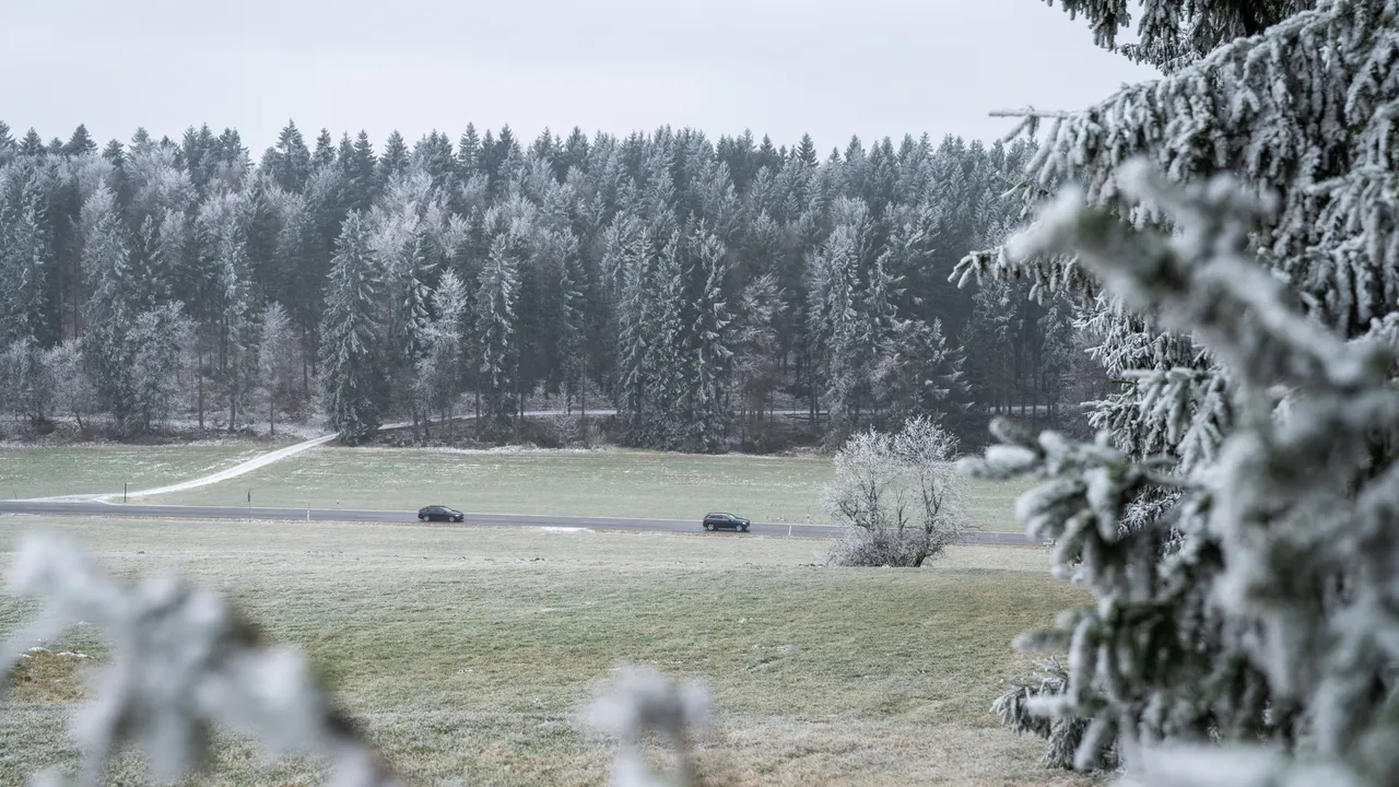 Cos’è la Grünes Band, la linea di confine tra Germania Est e Ovest che oggi è un monumento ambientale della storia europea