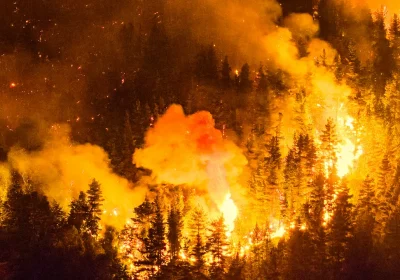 Incendi in Patagonia, oltre al danno ambientale c’è pure la beffa del complotto antisemita